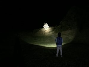 flashlight thrower