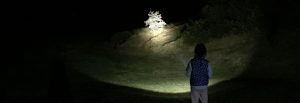 Flashlight Reviews